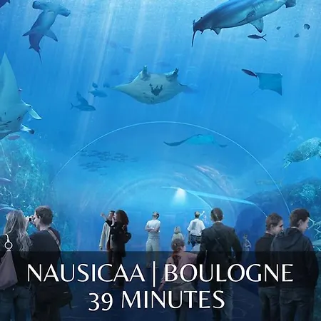 木屋 La Perle De L'etang - Deconnexion Totale