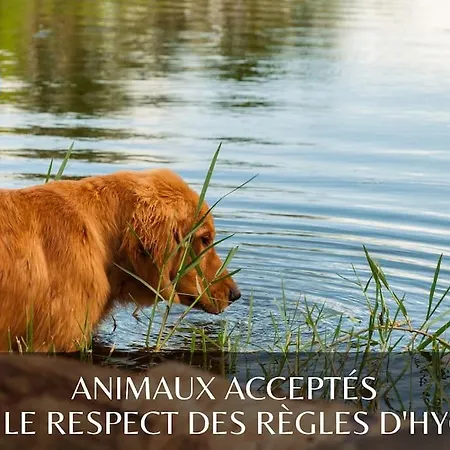 La Perle De L'etang - Deconnexion Totale