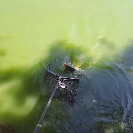 La Perle De L'etang - Deconnexion Totale Chalet
