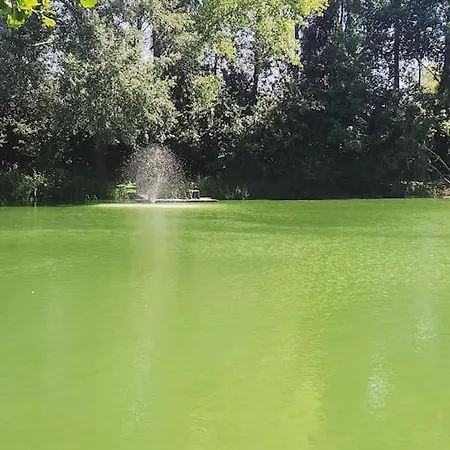 בקתה La Perle De L'etang - Deconnexion Totale Bourbourg
